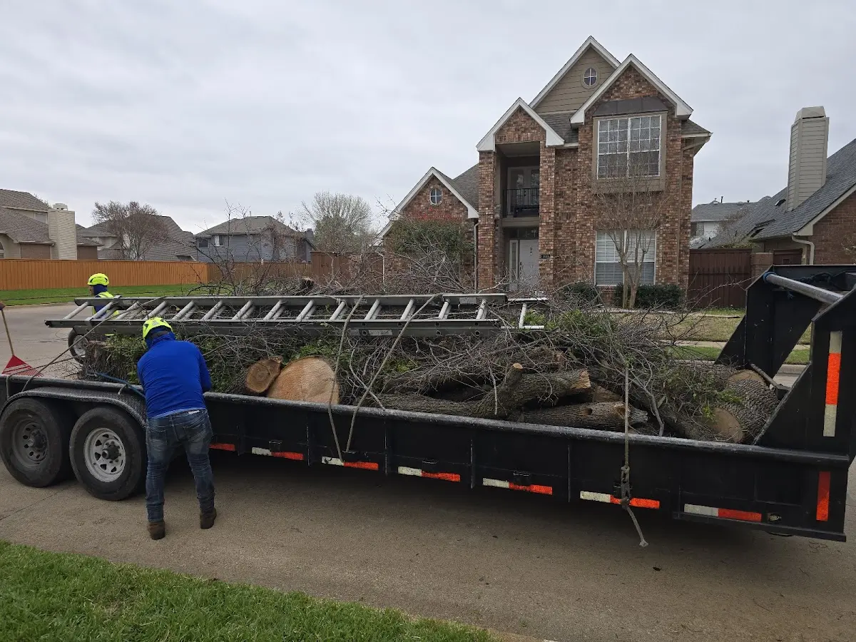 Expert Crown Reduction with proper safety equipment in Nemaha